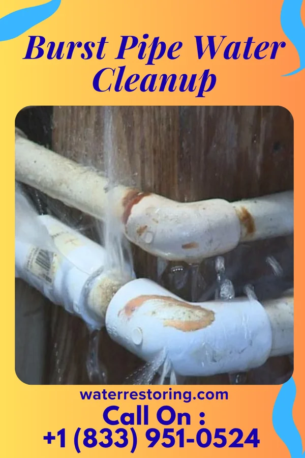 Burst Pipe Water Cleanup in Deer Park, MD