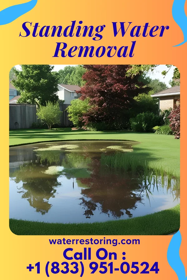 Standing Water Removal in Deer Park, MD